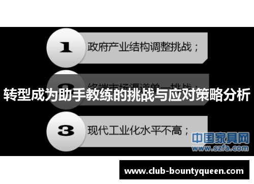 转型成为助手教练的挑战与应对策略分析