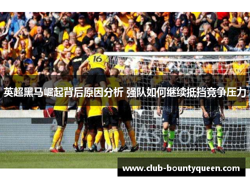 英超黑马崛起背后原因分析 强队如何继续抵挡竞争压力 英超黑马崛起背后原因分析 强队如何继续抵挡竞争压力